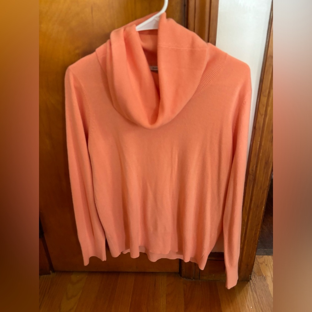 Coral turtleneck